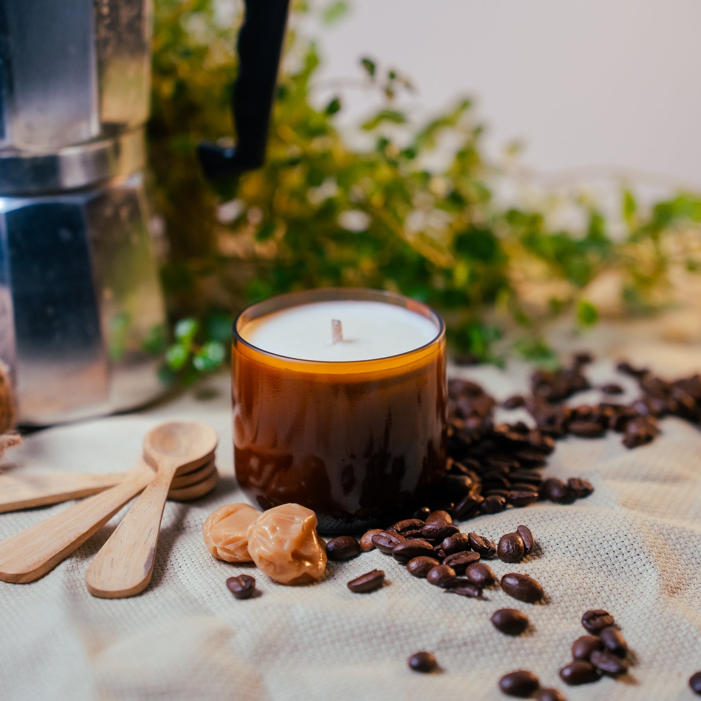 Sueño de Café - Despierta Tus Sentidos