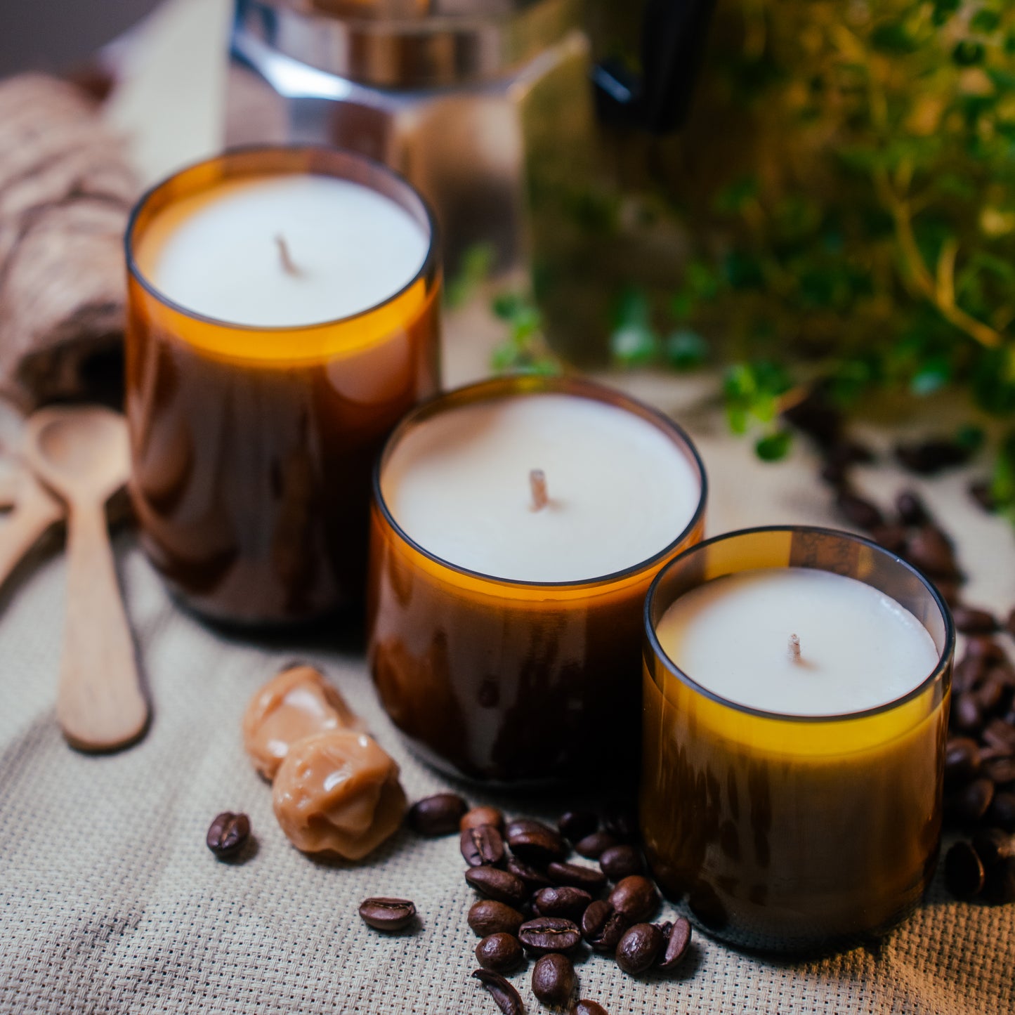 Sueño de Café - Despierta Tus Sentidos